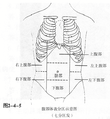 胸腹部标志线图片